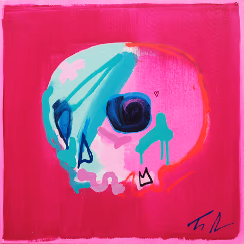 Memento Mori 100 Skulls By Tim Fowler