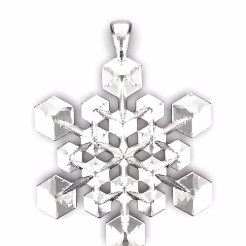 Special Snowflake Lot 0