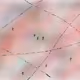 15752046989918272167690081096729333805916100700579195249567160544852585742337
