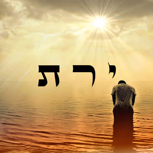 Item #60261209402415139582755570421670089329548312864668202741056926963067177140225 Media