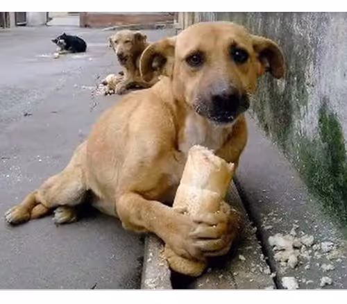 Alexwmarx Collection