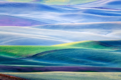 Item #82086394152813496729852745644400301310809698688948886085589871375740892610561 Media