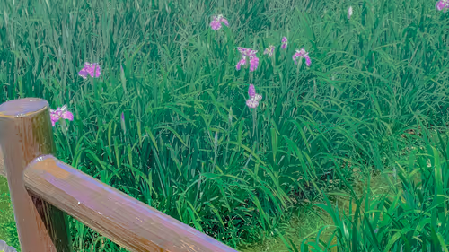 Item #26309083901545567454709889211670292098627789932924015051489478934986168991749 Media