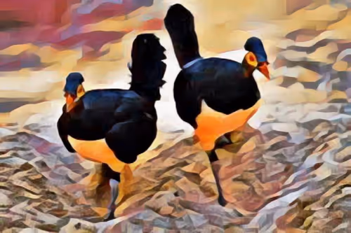 Item #7029108355626708276609613242512971670323934200013949392737625962013861609473 Media