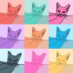 LazyCatCollage 2