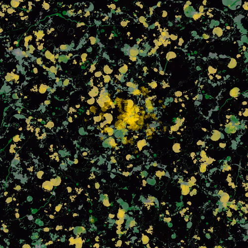 23807547862851357141853996565894485523710675712964198116484924984817814077441