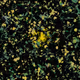 23807547862851357141853996565894485523710675712964198116484924984817814077441