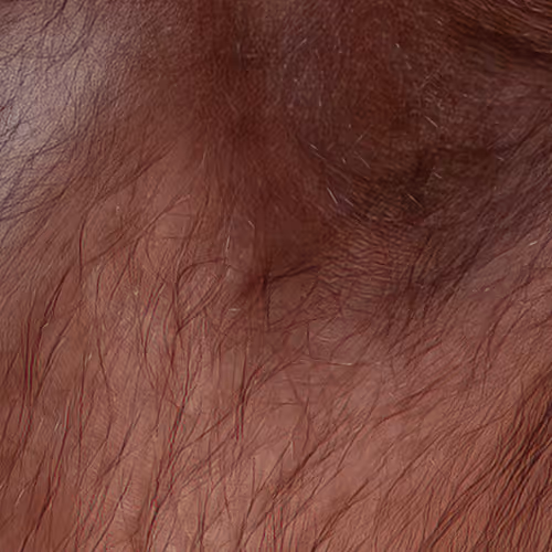 Item #15445115341978895749400258717831267901175031190841581355540861918989665697793 Media