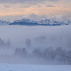 Misty Morning Layers