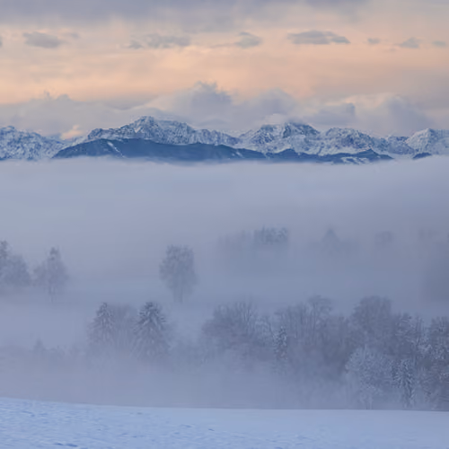 Misty Morning Layers