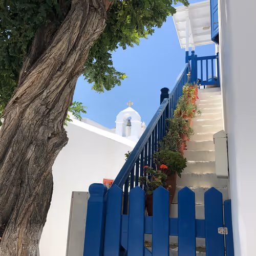 edgnat Collection - old