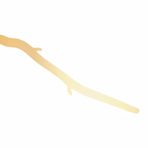 17755440104982517953853418754656261360363945618725315047813017609945281986561