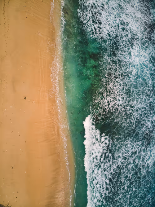 Item #112723081551128241243885468627012393474232760993682910355502264238531734929409 Media