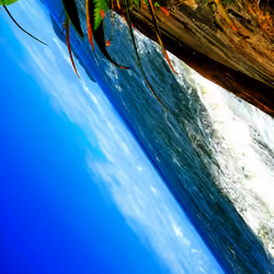 Distorted-Nature#13