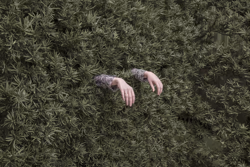 Item #66199238370220987817260704809787442862597280032429936774217036747923064356865 Media