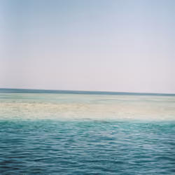 MALDIVEEZ