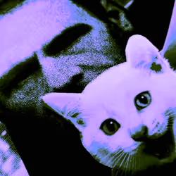 4747115153065902387790593868107453782499677024781155622119190038979939401729