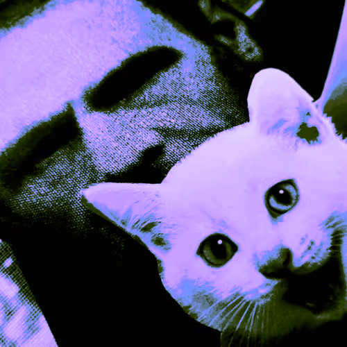 4747115153065902387790593868107453782499677024781155622119190038979939401729