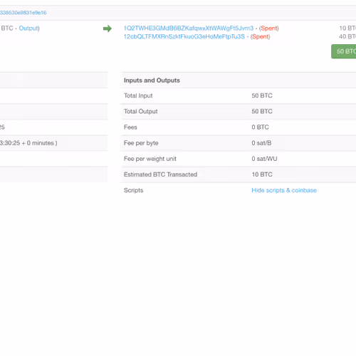 Untitled Collection #285374329