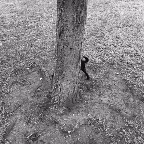 Item #56431751608181922231259635946092067407977788553703326303680802288760501829633 Media