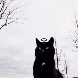 45698053960438807051727633621105073210005053048443120307747772233632240893953