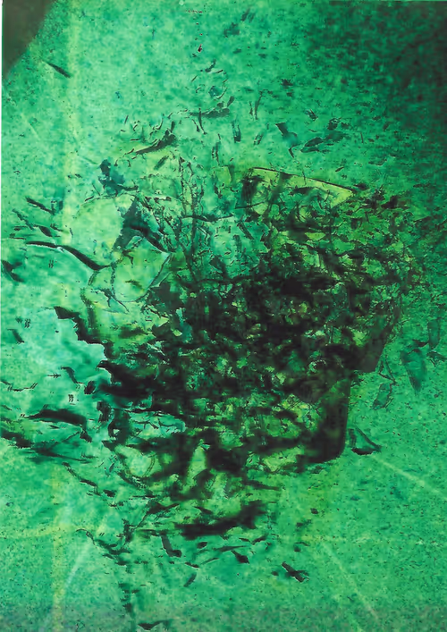 Item #40375564253889024497313303500707450347616420873030692563682046504414750965770 Media