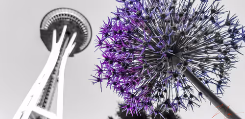 Item #20976301758881134831989222665278936219784108903075361536191037490856439316481 Media