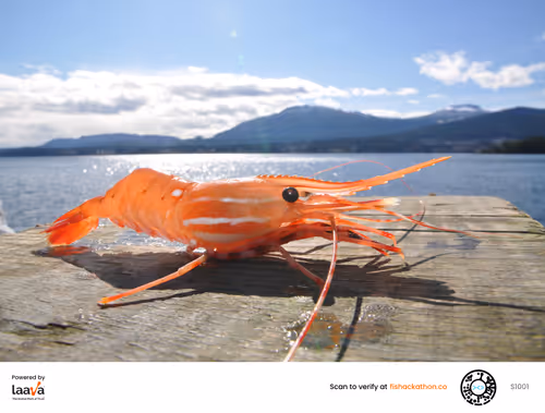 Item #75409383365909662742797353960547032942445262958910293626622653909816418762753 Media