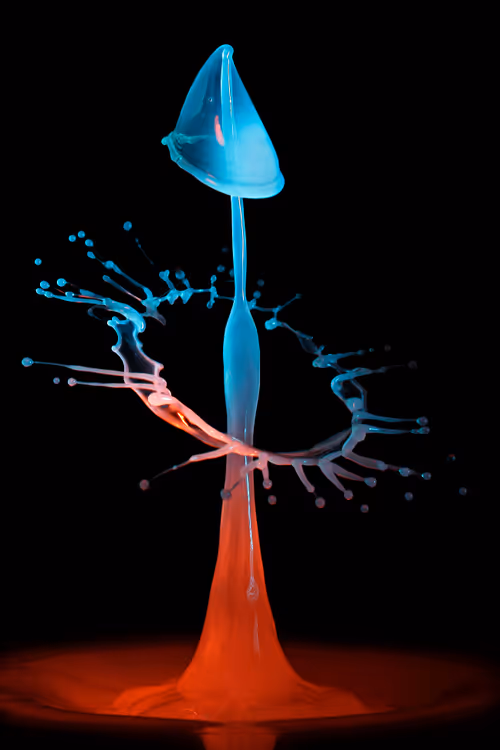 Item #56925950088807667091179859309160049593711726497790334072286926645954982445057 Media