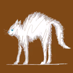 Rare cat
