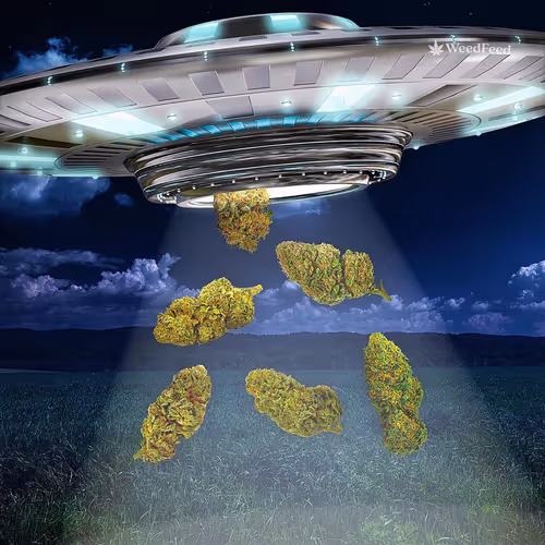 Item #276618171581163995688451181711762959038558310937804576463711776888361844737 Media