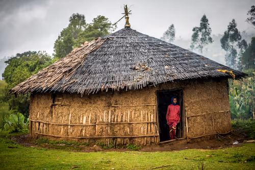 Item #50027882237522295676960542276708360859068113986169674979910833972375910875137 Media