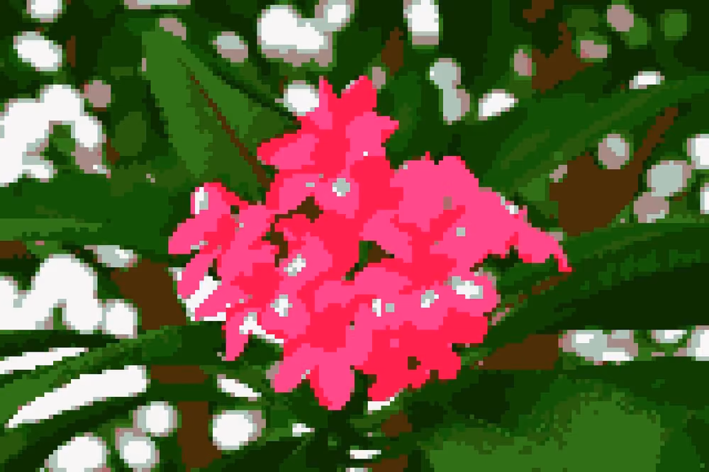 Flower