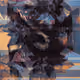 62288420463860289310427580933528577115052580480405258034880612816867655942145