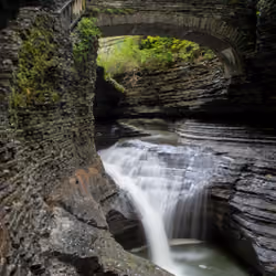 Watkins Glen
