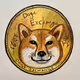 DOGE_Exchange Collection - old
