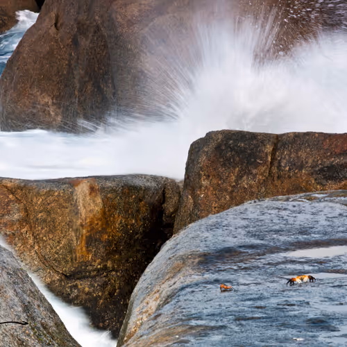 Coastlifephotography