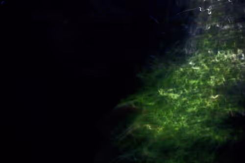 Item #9120212916765116150568675881713414537423652719211967924258503622099751403521 Media