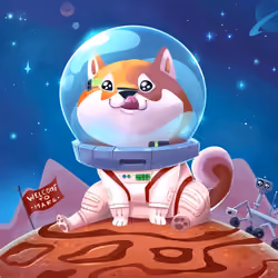 THE DOGE ON THE MARS
