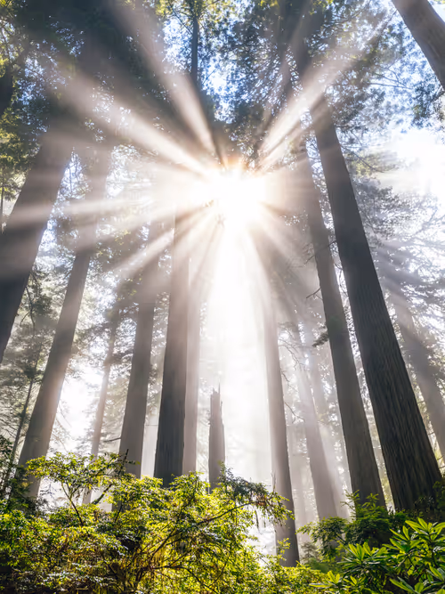 Item #99379921276153973634104125152908526548510783699959858376338453570006546382849 Media