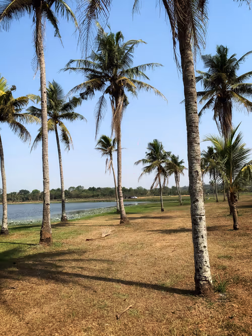 Item #86109783756313584205852517343469947488147622379281892580711212492292882432001 Media