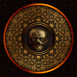 Mandala Skull Art #009