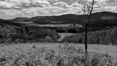 Untitled Collection #108070123