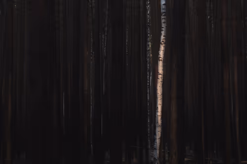 Item #4957194782878425524435841339739602909464041924786151306277751042670973681665 Media