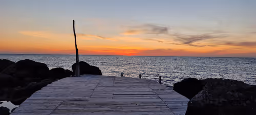 Untitled Collection #72107676