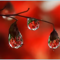 Rain drop 18