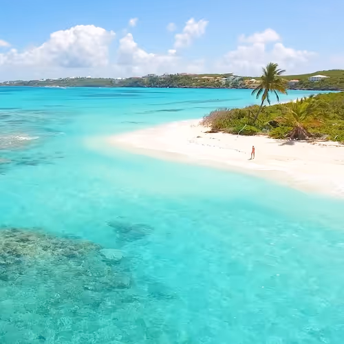 Item #21182267617506779564808976135633405362174435618791925445705395863905663713290 Media