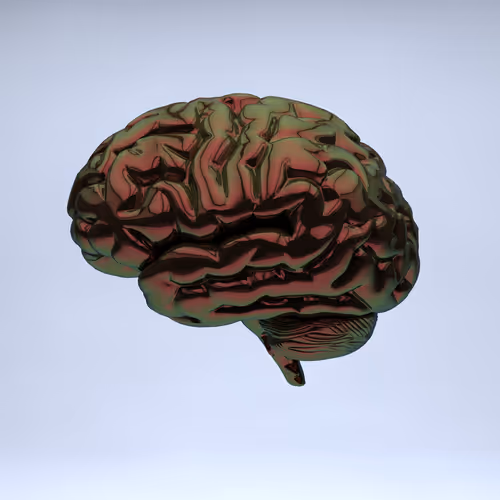 Item #77412820926303725204956055566925211190020908428863033075197849059891840286721 Media