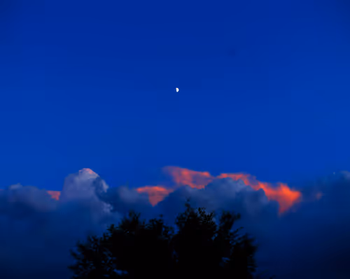 Item #60120214463004009933139415696662672742407665798875394080470195516054668574721 Media