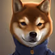shiba for animal preservation